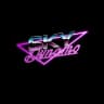 SkyDynamo